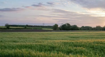 France Carbon Agri, contribution et compensation carbone. Développement de projets auprès des agriculteurs