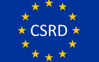 Directive CSRD et normes ESRS : quelles évolutions pour le reporting du durabilité avec l’intégration des crédits carbone ?